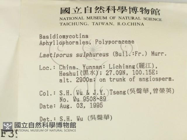 登錄號:F0003975藏品圖，第2張