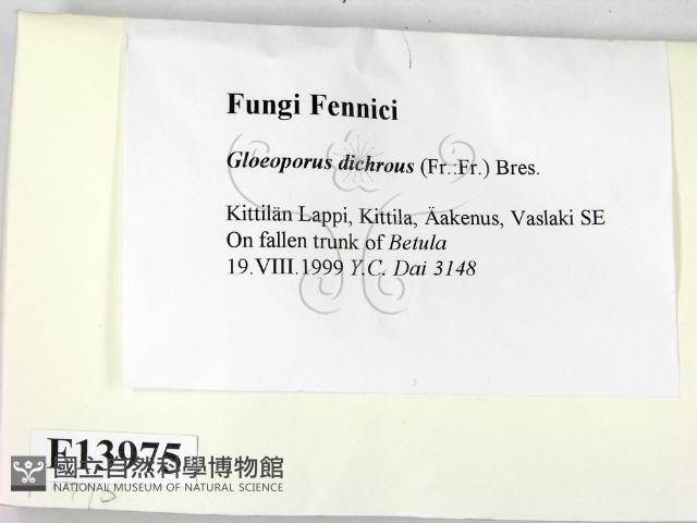 登錄號:F0013975藏品圖，第2張