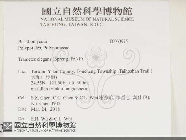 登錄號:F0033975藏品圖，第2張