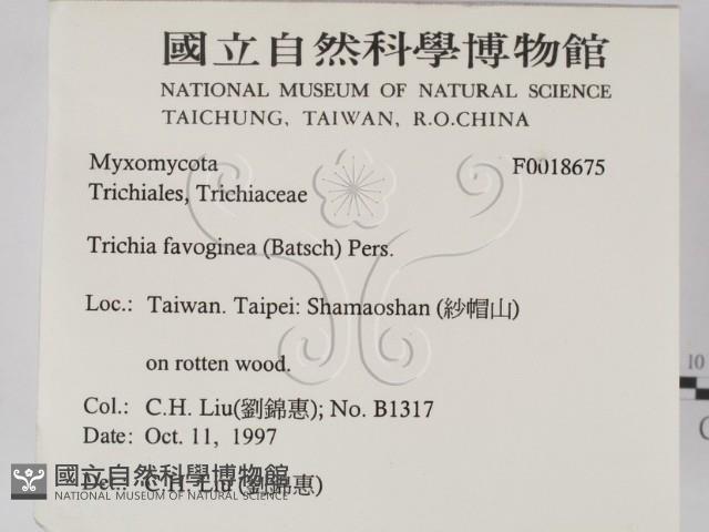 登錄號:F0018675藏品圖，第2張