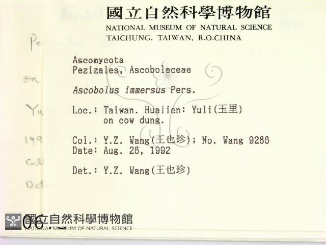 登錄號:F0000675藏品圖，第2張