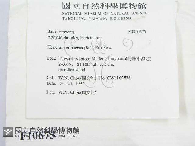 登錄號:F0010675藏品圖，第2張