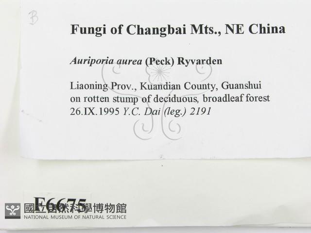 登錄號:F0006675藏品圖，第2張