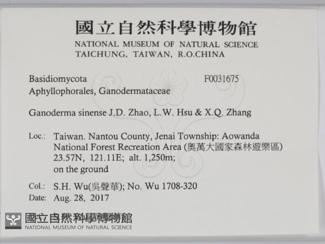 登錄號:F0031675藏品圖，第2張
