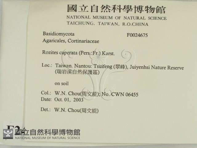 登錄號:F0024675藏品圖，第2張