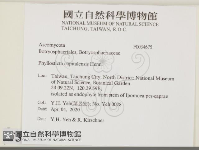 登錄號:F0034675藏品圖，第2張