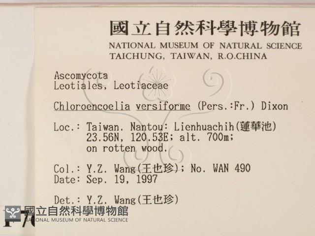 登錄號:F0007675藏品圖，第2張