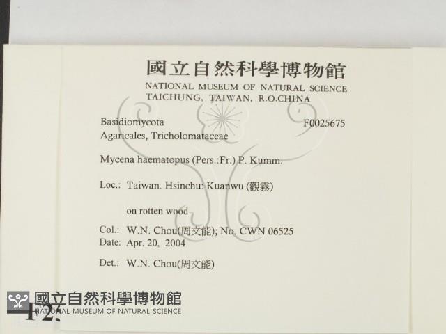 登錄號:F0025675藏品圖，第2張