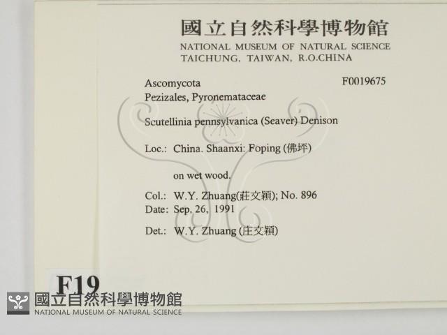登錄號:F0019675藏品圖，第2張