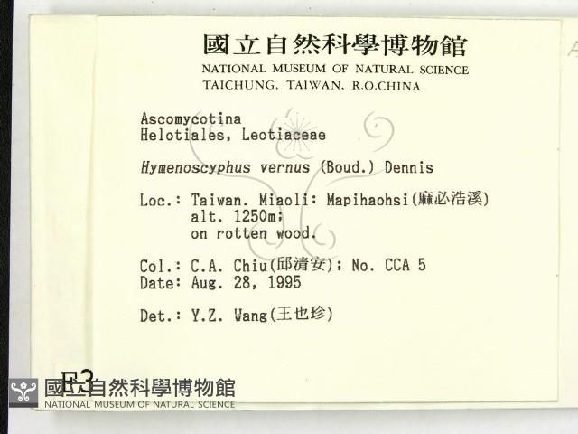 登錄號:F0003675藏品圖，第2張