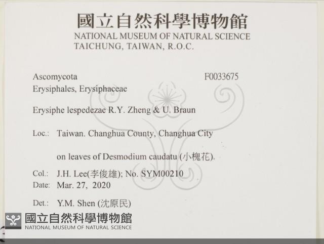 登錄號:F0033675藏品圖，第2張