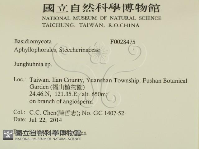 容氏菌屬藏品圖，第2張
