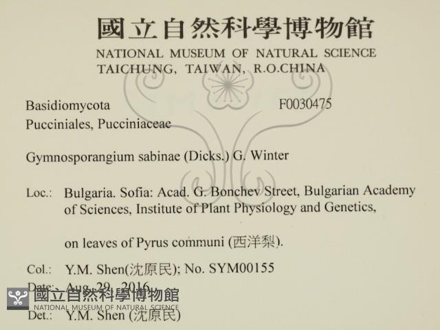 登錄號:F0030475藏品圖，第2張