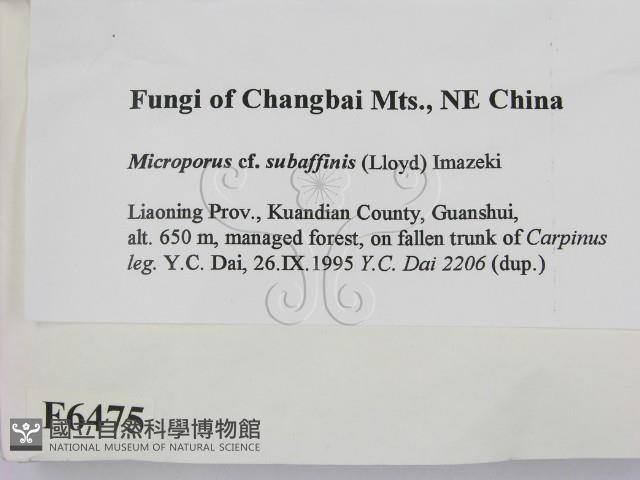 登錄號:F0006475藏品圖，第2張