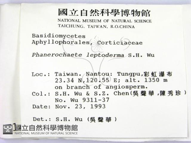 登錄號:F0001475藏品圖，第2張