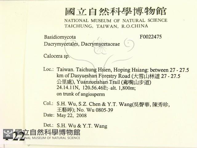 登錄號:F0022475藏品圖，第2張