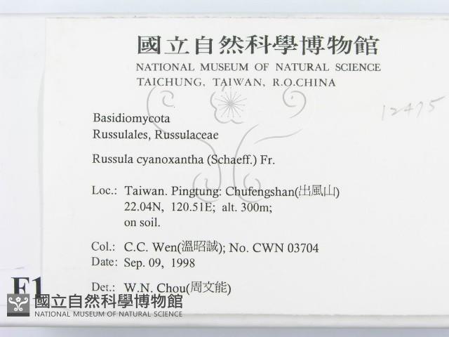 登錄號:F0012475藏品圖，第2張