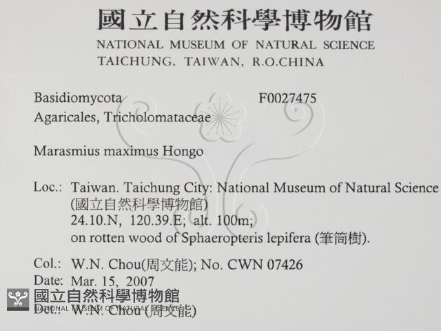 登錄號:F0027475藏品圖，第2張