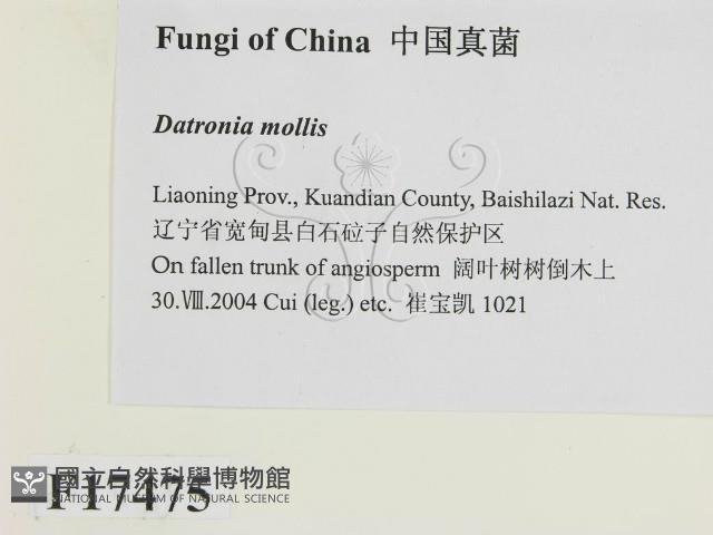 登錄號:F0017475藏品圖，第2張