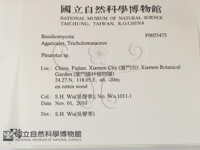 登錄號:F0025475藏品圖，第2張