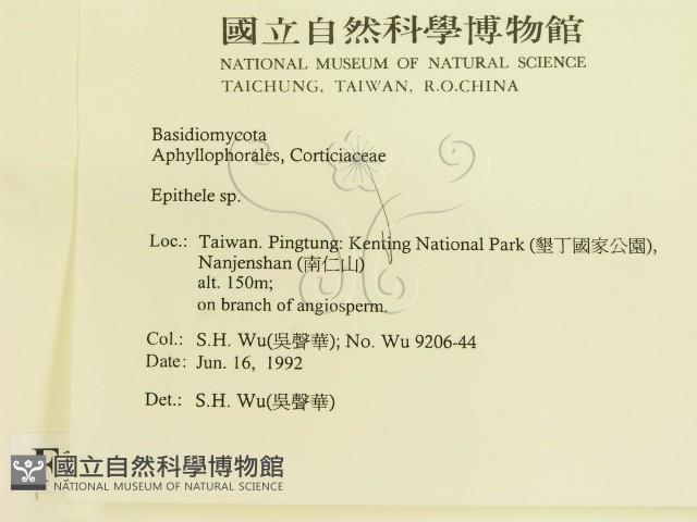 登錄號:F0015475藏品圖，第2張