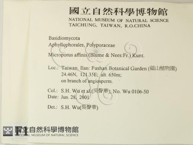 相鄰小孔菌藏品圖，第2張
