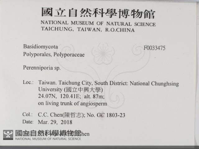 Accession Number:F0033475 Collection Image, Figure 2, Total 2 Figures