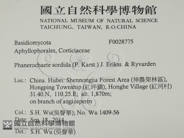 Accession Number:F0028775 Collection Image, Figure 2, Total 2 Figures