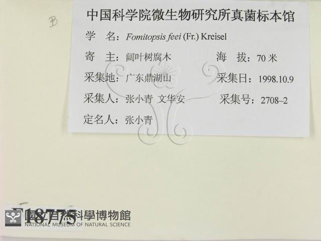 登錄號:F0018775藏品圖，第2張