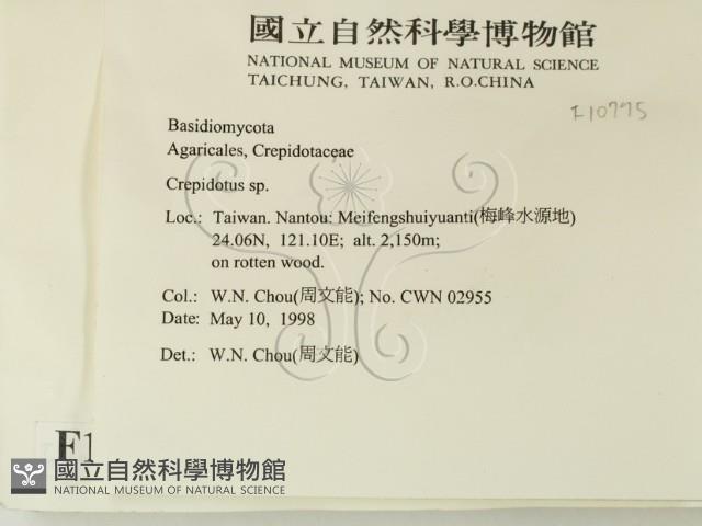登錄號:F0010775藏品圖，第2張