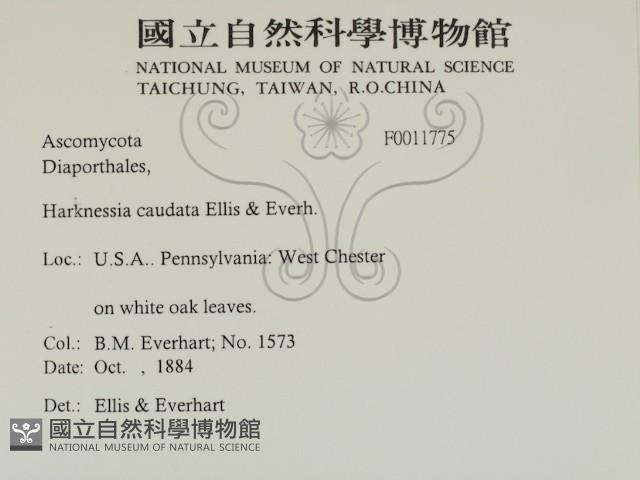 登錄號:F0011775藏品圖，第2張