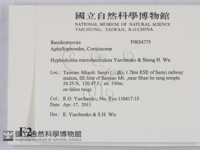 登錄號:F0024775藏品圖，第2張