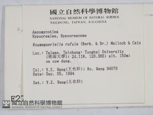 登錄號:F0002775藏品圖，第2張