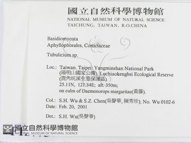 登錄號:F0012775藏品圖，第2張