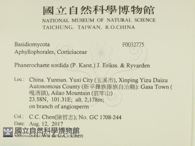 登錄號:F0032775藏品圖，第2張