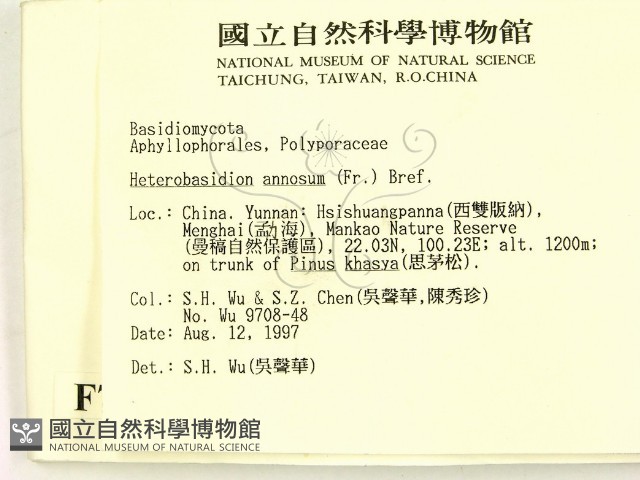 登錄號:F0007775藏品圖，第2張
