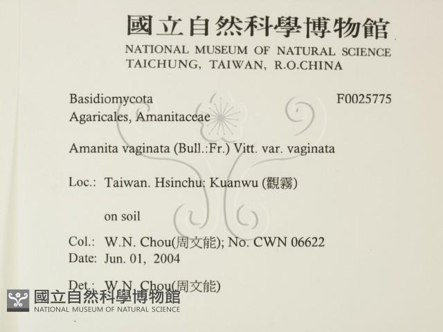 登錄號:F0025775藏品圖，第2張