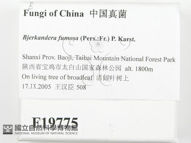 登錄號:F0019775藏品圖，第2張