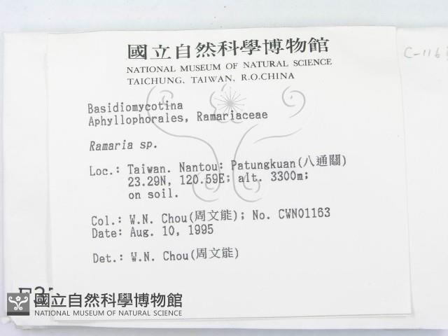 登錄號:F0003775藏品圖，第2張