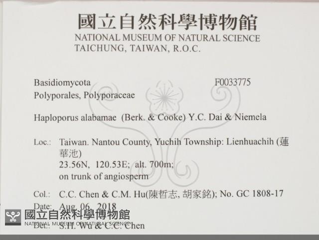 登錄號:F0033775藏品圖，第2張