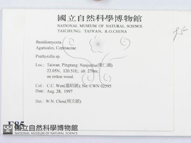 登錄號:F0008575藏品圖，第2張
