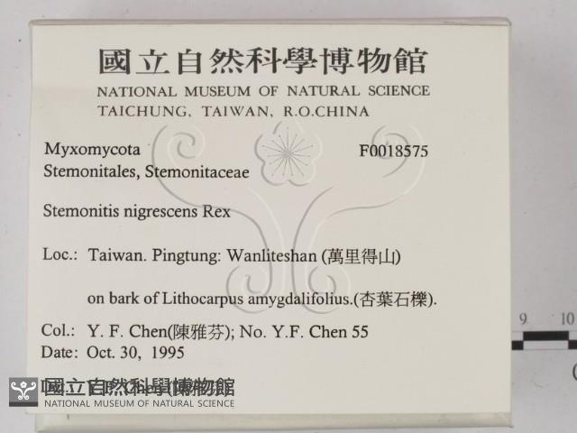 登錄號:F0018575藏品圖，第2張