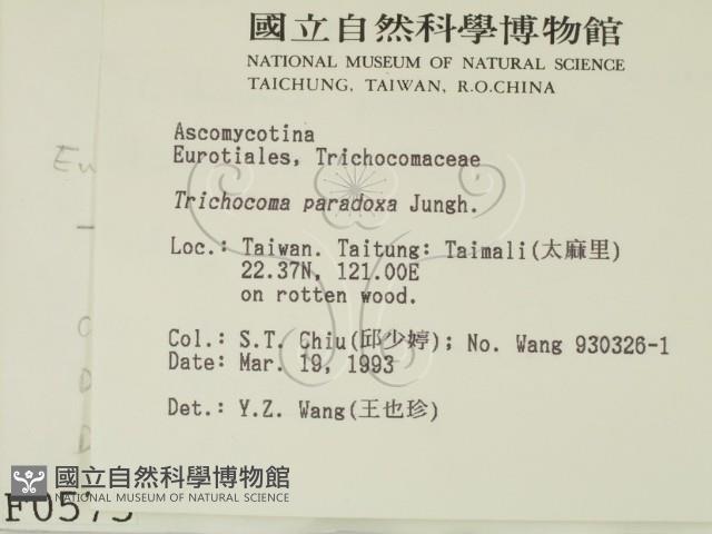 登錄號:F0000575藏品圖，第2張