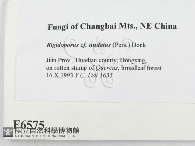 登錄號:F0006575藏品圖，第2張