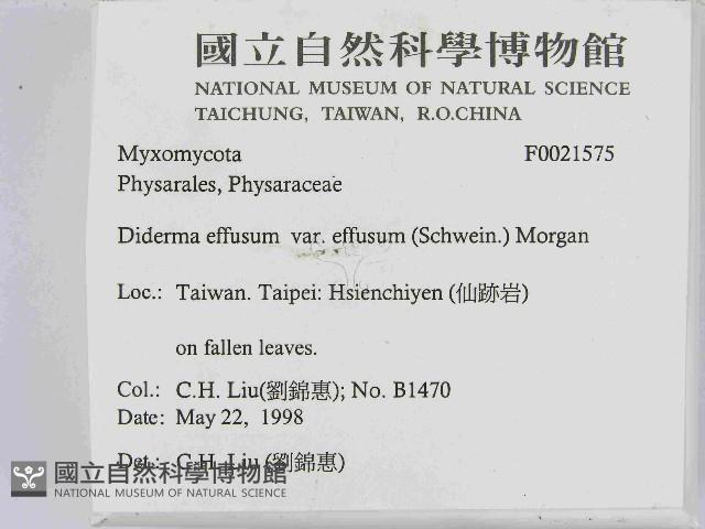 登錄號:F0021575藏品圖，第2張