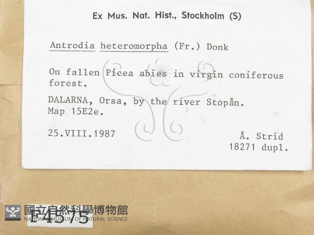 登錄號:F0004575藏品圖，第2張