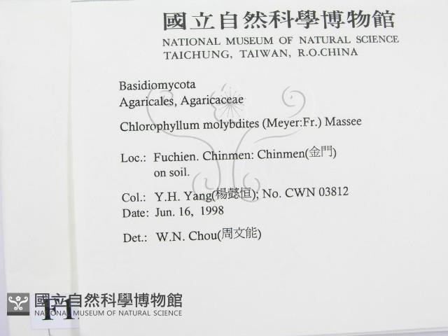 登錄號:F0012575藏品圖，第2張