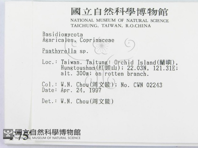 登錄號:F0007575藏品圖，第2張