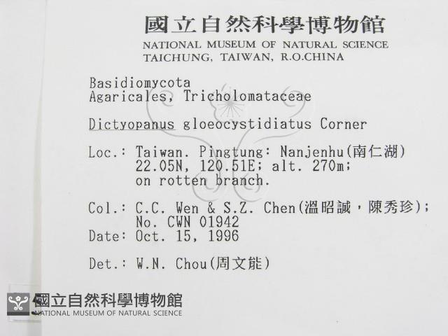 登錄號:F0005575藏品圖，第2張