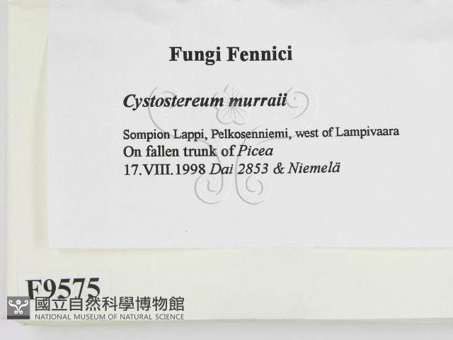 登錄號:F0009575藏品圖，第2張